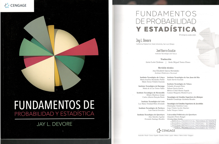 SAULO REVISION TECNICA1