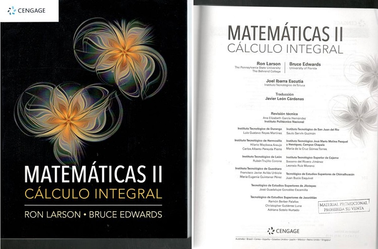 SAULO REVISION TECNICA3